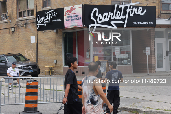 A shop is selling cannabis and marijuana paraphernalia in Toronto, Ontario, Canada, on August 17, 2024. 