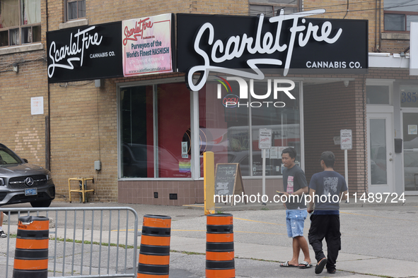 A shop is selling cannabis and marijuana paraphernalia in Toronto, Ontario, Canada, on August 17, 2024. 