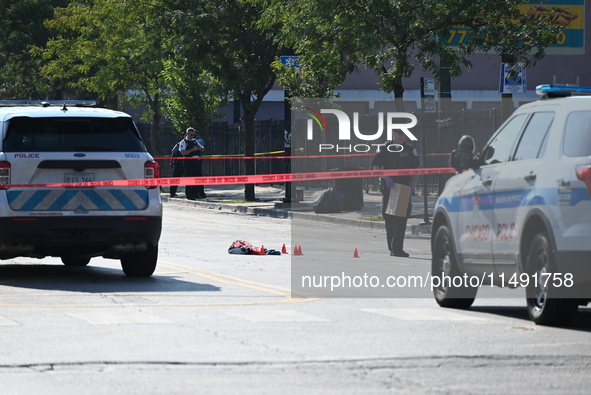 A 28-year-old male is being shot numerous times and killed in Chicago, Illinois, United States, on August 18, 2024. On Sunday afternoon at a...