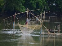 A villager is lifting a fishing net to catch fish on a river in Nagaon District of Assam, India, on August 19, 2024. (