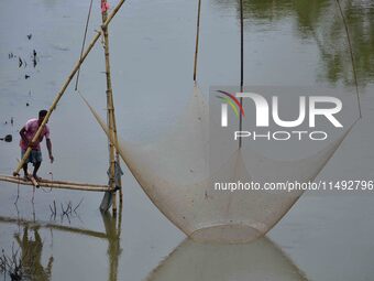 A villager is lifting a fishing net to catch fish on a river in Nagaon District of Assam, India, on August 19, 2024. (