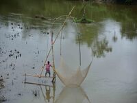 A villager is lifting a fishing net to catch fish on a river in Nagaon District of Assam, India, on August 19, 2024. (