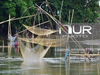 A villager is lifting a fishing net to catch fish on a river in Nagaon District of Assam, India, on August 19, 2024. (