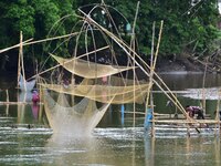 A villager is lifting a fishing net to catch fish on a river in Nagaon District of Assam, India, on August 19, 2024. (