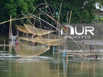 A villager is lifting a fishing net to catch fish on a river in Nagaon District of Assam, India, on August 19, 2024. (