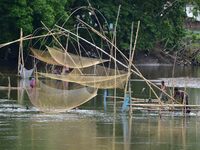 A villager is lifting a fishing net to catch fish on a river in Nagaon District of Assam, India, on August 19, 2024. (