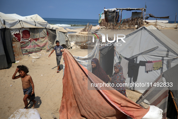 Displaced Palestinians are standing in front of their tent, which they are setting up near the beach in Deir al-Balah in the central Gaza St...