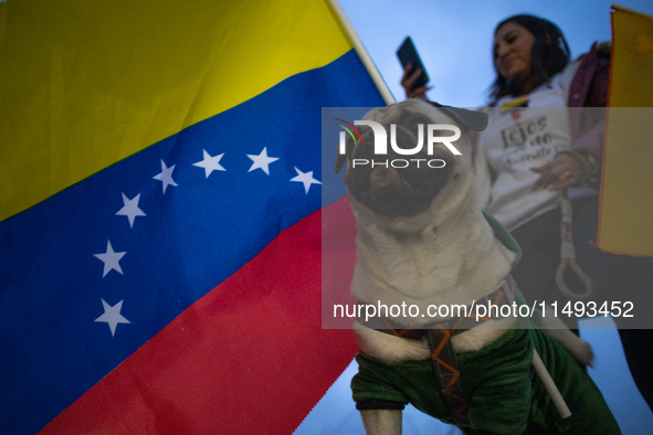 Venezuelans in Santiago, Chile, on August 17, 2024, are holding a demonstration in support of Edmundo Gonzalez, the opposition candidate run...