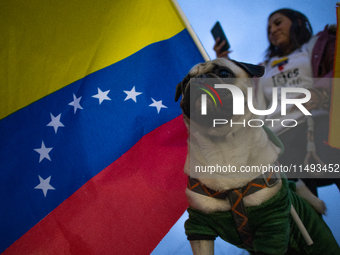 Venezuelans in Santiago, Chile, on August 17, 2024, are holding a demonstration in support of Edmundo Gonzalez, the opposition candidate run...