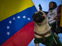 Venezuelans in Santiago, Chile, on August 17, 2024, are holding a demonstration in support of Edmundo Gonzalez, the opposition candidate run...