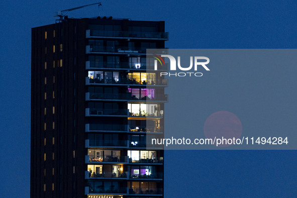 A rare super blue full moon appears rising in the night sky over tall buildings, near the city of Eindhoven in the Netherlands on August 19,...