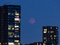 A rare super blue full moon appears rising in the night sky over tall buildings, near the city of Eindhoven in the Netherlands on August 19,...