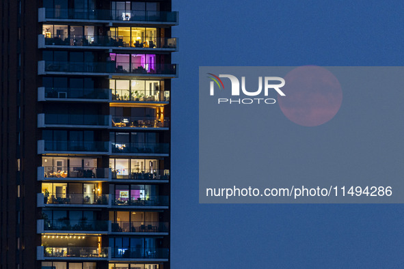 A rare super blue full moon appears rising in the night sky over tall buildings, near the city of Eindhoven in the Netherlands on August 19,...