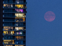 A rare super blue full moon appears rising in the night sky over tall buildings, near the city of Eindhoven in the Netherlands on August 19,...