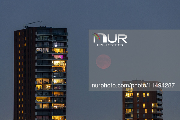 A rare super blue full moon appears rising in the night sky over tall buildings, near the city of Eindhoven in the Netherlands on August 19,...