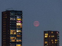 A rare super blue full moon appears rising in the night sky over tall buildings, near the city of Eindhoven in the Netherlands on August 19,...