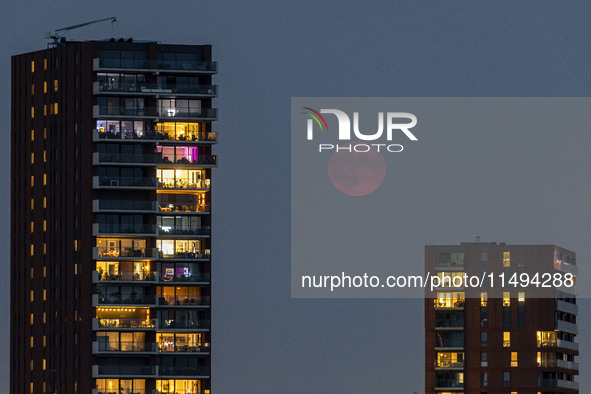 A rare super blue full moon appears rising in the night sky over tall buildings, near the city of Eindhoven in the Netherlands on August 19,...