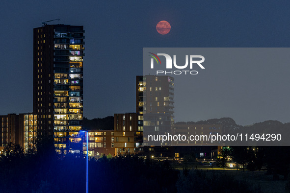 A rare super blue full moon appears rising in the night sky over tall buildings, near the city of Eindhoven in the Netherlands on August 19,...