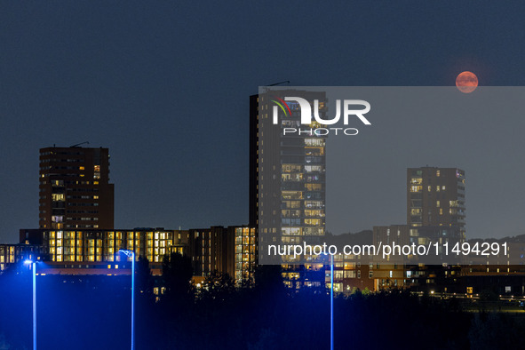 A rare super blue full moon appears rising in the night sky over tall buildings, near the city of Eindhoven in the Netherlands on August 19,...