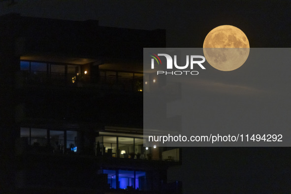 A rare super blue full moon appears rising in the night sky over tall buildings, near the city of Eindhoven in the Netherlands on August 19,...