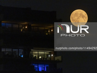 A rare super blue full moon appears rising in the night sky over tall buildings, near the city of Eindhoven in the Netherlands on August 19,...