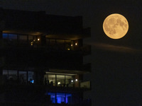 A rare super blue full moon appears rising in the night sky over tall buildings, near the city of Eindhoven in the Netherlands on August 19,...