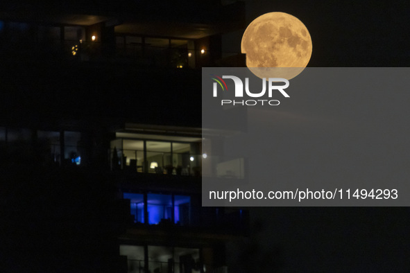 A rare super blue full moon appears rising in the night sky over tall buildings, near the city of Eindhoven in the Netherlands on August 19,...