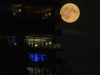 A rare super blue full moon appears rising in the night sky over tall buildings, near the city of Eindhoven in the Netherlands on August 19,...