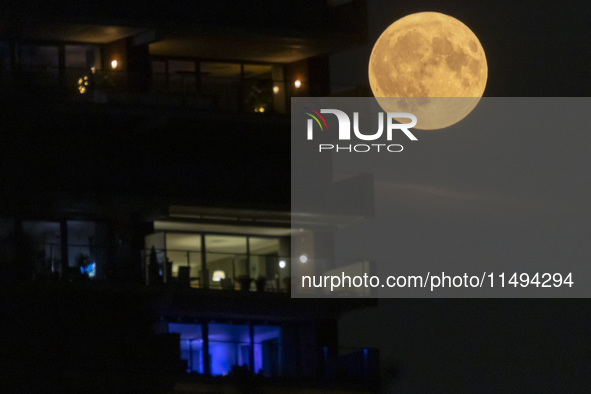 A rare super blue full moon appears rising in the night sky over tall buildings, near the city of Eindhoven in the Netherlands on August 19,...