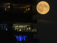 A rare super blue full moon appears rising in the night sky over tall buildings, near the city of Eindhoven in the Netherlands on August 19,...