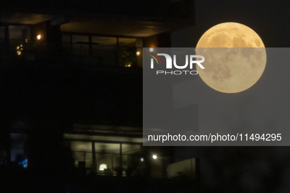 A rare super blue full moon appears rising in the night sky over tall buildings, near the city of Eindhoven in the Netherlands on August 19,...