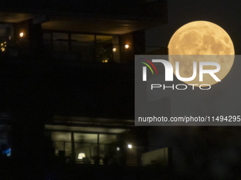 A rare super blue full moon appears rising in the night sky over tall buildings, near the city of Eindhoven in the Netherlands on August 19,...