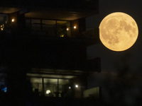 A rare super blue full moon appears rising in the night sky over tall buildings, near the city of Eindhoven in the Netherlands on August 19,...