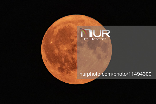 A rare super blue full moon appears rising in the night sky over tall buildings, near the city of Eindhoven in the Netherlands on August 19,...