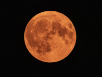 A rare super blue full moon appears rising in the night sky over tall buildings, near the city of Eindhoven in the Netherlands on August 19,...