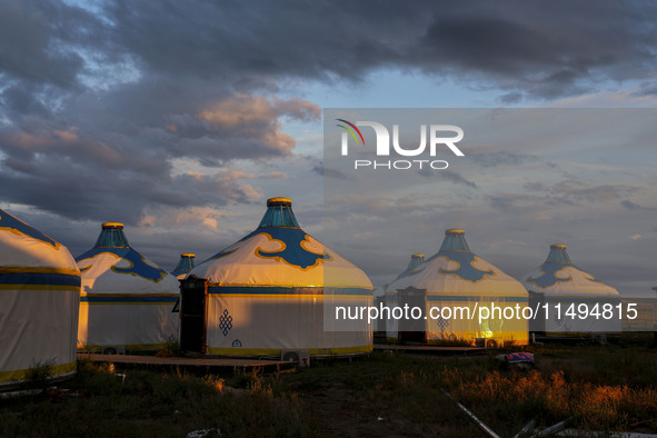 Cattle, horses, and camels are foraging on the grassland in Hulunbuir, China, on August 19, 2024. 