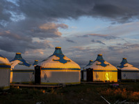 Cattle, horses, and camels are foraging on the grassland in Hulunbuir, China, on August 19, 2024. (