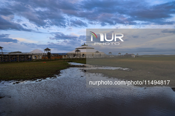 Cattle, horses, and camels are foraging on the grassland in Hulunbuir, China, on August 19, 2024. 