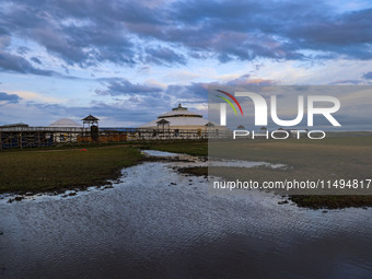 Cattle, horses, and camels are foraging on the grassland in Hulunbuir, China, on August 19, 2024. (