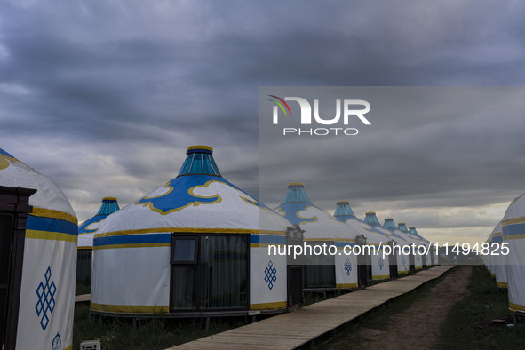 Cattle, horses, and camels are foraging on the grassland in Hulunbuir, China, on August 19, 2024. 