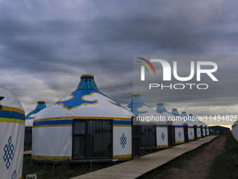 Cattle, horses, and camels are foraging on the grassland in Hulunbuir, China, on August 19, 2024. (