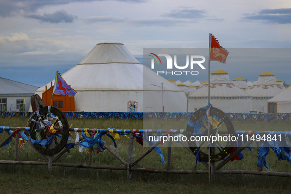 Cattle, horses, and camels are foraging on the grassland in Hulunbuir, China, on August 19, 2024. 