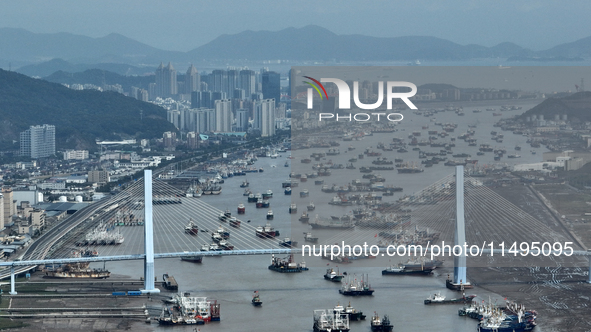 Boats are avoiding Typhoon Jongdari at Shenjiamen fishing port in Zhoushan city, Zhejiang province, China, on August 20, 2024. 