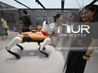 People are watching BabyAlpha, the 6th generation robot dog, at Deji Square in Nanjing, China, on August 20, 2024. This is the first artific...