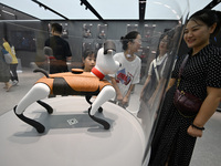 People are watching BabyAlpha, the 6th generation robot dog, at Deji Square in Nanjing, China, on August 20, 2024. This is the first artific...