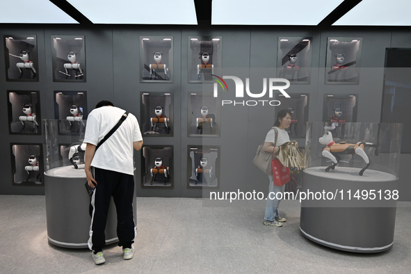 People are watching BabyAlpha, the 6th generation robot dog, at Deji Square in Nanjing, China, on August 20, 2024. This is the first artific...