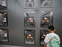 People are watching BabyAlpha, the 6th generation robot dog, at Deji Square in Nanjing, China, on August 20, 2024. This is the first artific...