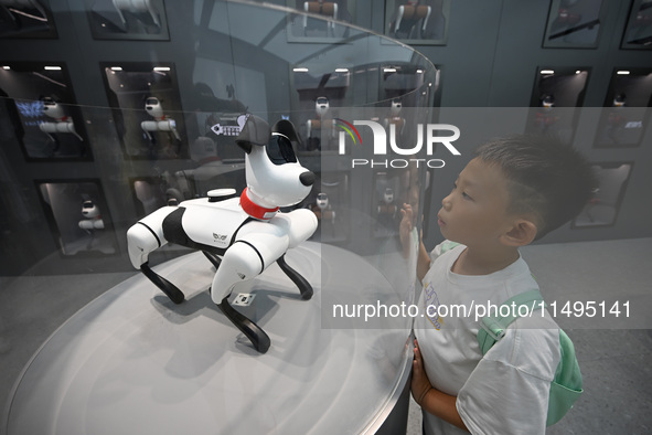 People are watching BabyAlpha, the 6th generation robot dog, at Deji Square in Nanjing, China, on August 20, 2024. This is the first artific...