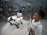 People are watching BabyAlpha, the 6th generation robot dog, at Deji Square in Nanjing, China, on August 20, 2024. This is the first artific...