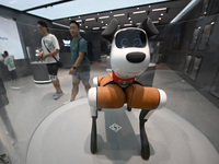 People are watching BabyAlpha, the 6th generation robot dog, at Deji Square in Nanjing, China, on August 20, 2024. This is the first artific...